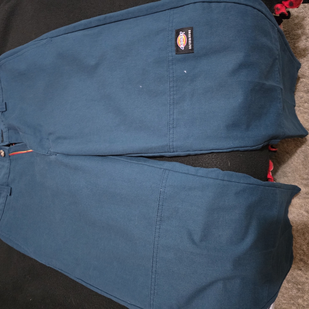 Dickies Skateboarding & Painter Pants Bundle